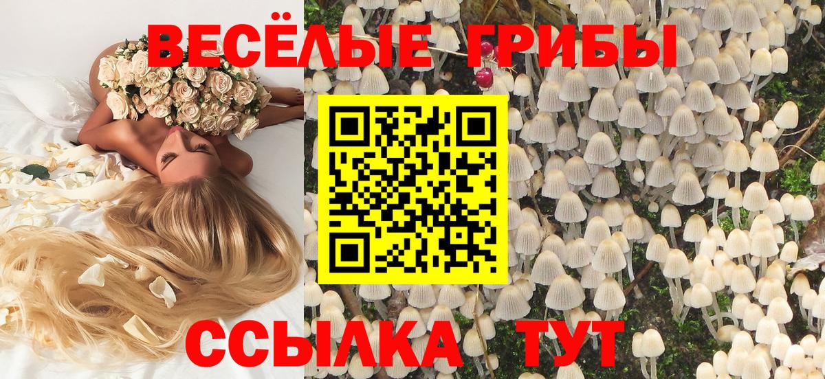 Псилоцибиновые грибы прущие грибы Белорецк