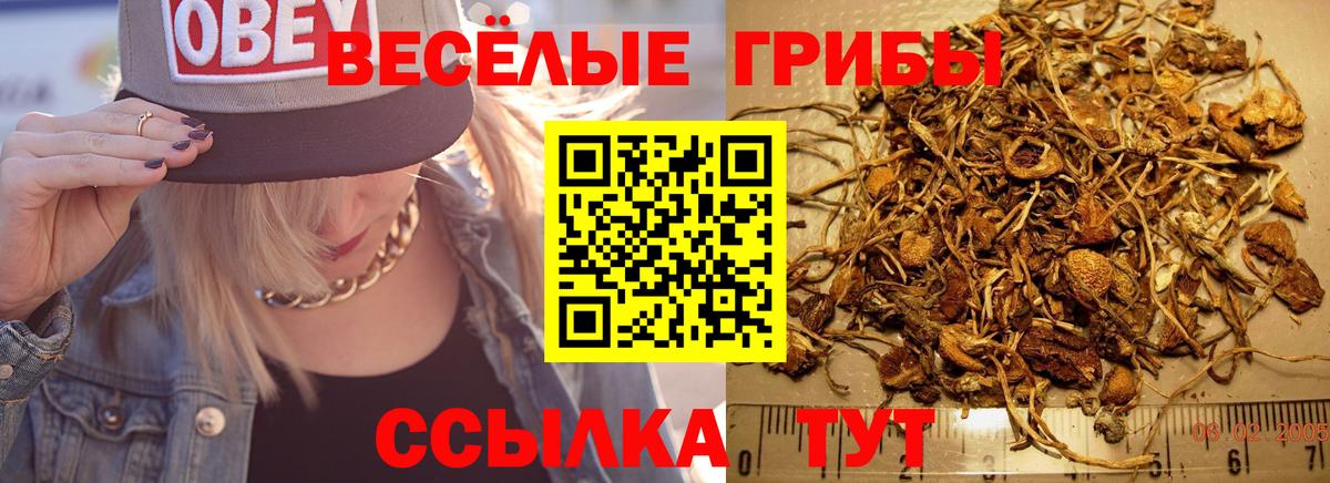 Белорецк  Псилоцибиновые грибы прущие грибы  Псилоцибиновые грибы ЛСД  Вход с VPN 